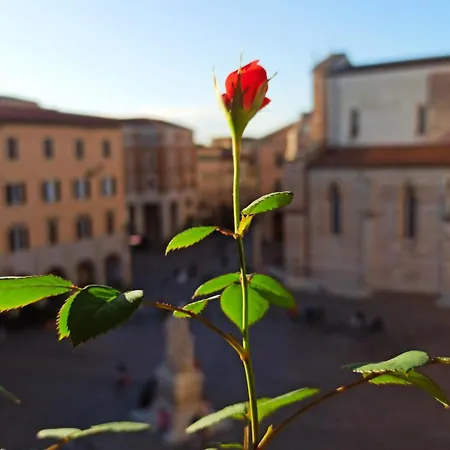 Piazza Dante Alighieri * גרוסטו